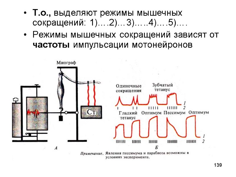 139 Т.о., выделяют режимы мышечных сокращений: 1)….2)…3)…..4)….5)…. Режимы мышечных сокращений зависят от частоты импульсации